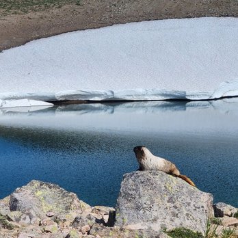 Mount Rainier National Park - Parks Near Me - Ashford, Washington Mount Rainier National Park - Parks Near Me - Ashford, Washington