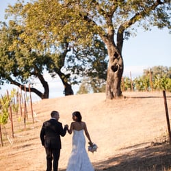 J Jasper Events - Jessamyn Harris Photography Copain Winery, Healdsburg