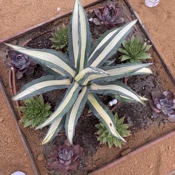Scancelli Landscapes - Landscaping Near Me Scancelli Landscapes - Landscaping Near Me