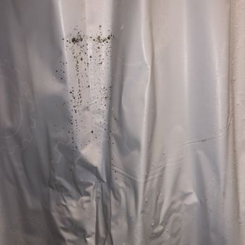 Moldy Shower Curtain In Shower Stall 1 Yelp