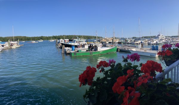 Harraseeket Lunch and Lobster Company by null