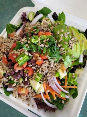 BLUE ZONE by Body Basics Healing Center by null