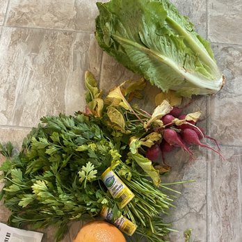 Full Circle - a variety of vegetables on a tile floor - Fruits & Veggies Near Me - Seattle, Washington Full Circle - a variety of vegetables on a tile floor - Fruits & Veggies Near Me - Seattle, Washington
