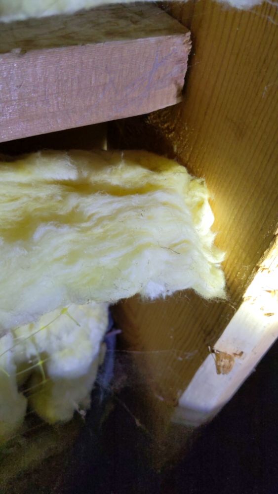 Slide of Steadfast Inspections