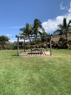 Punakea Palms by null