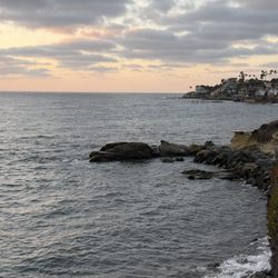 Bird Rock