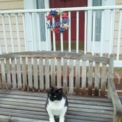 Aldrich House - Boston, the "Greeter," says "Welcome!"