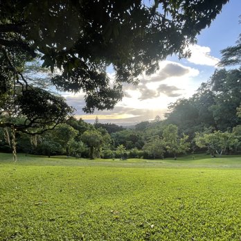 Experience Nutridge - Performing Arts Near Me - Honolulu, Hawaii
