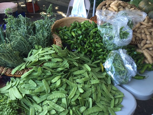 Cotswold Farmers Market by null
