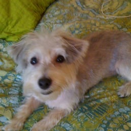 After her groom... After her groom...