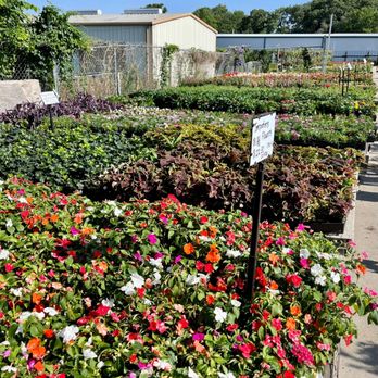 DOAN’S NURSERY - Updated February 2026 - 108 Photos & 40 Reviews - 622