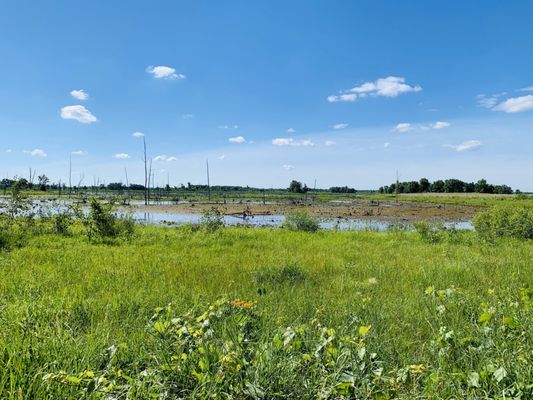 Sherburne National Wildlife Refuge by null
