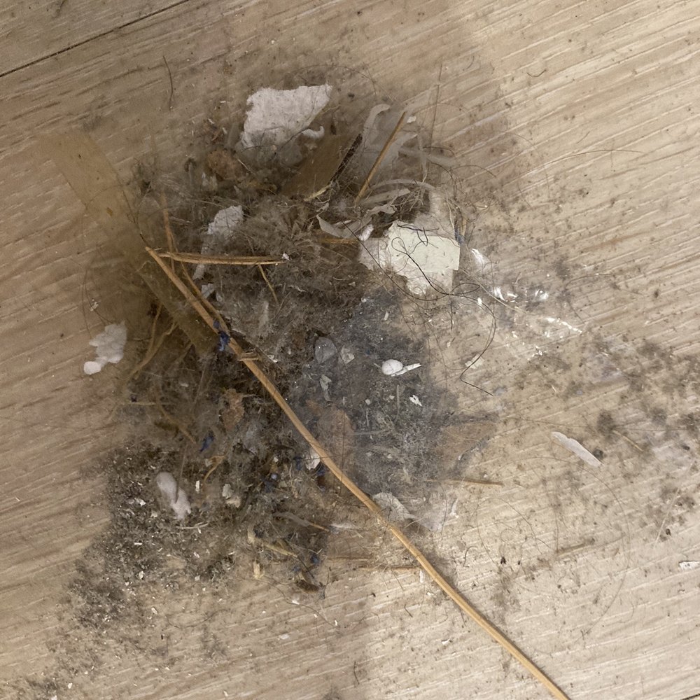 Bath and Company - dirt they left on my floor - Kitchen & Bath Near Me - Danvers, Massachusetts Bath and Company - dirt they left on my floor - Kitchen & Bath Near Me - Danvers, Massachusetts