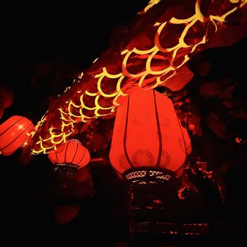 Fortunate Son - Dragon & Lanterns Oh My - Chinese Near Me - San Diego, California