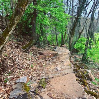 Fort Dickerson Park  - Fort Dickerson Trails - Parks Near Me - Knoxville, Tennessee