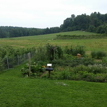 Upinngil Farm - Grounds - Farmers Market Near Me - Gill, Massachusetts