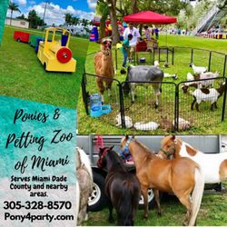 Ponies & Petting Zoo of Miami