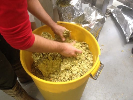 Thornbridge Brewery by null