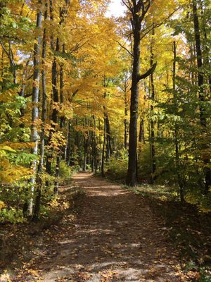 Miners Falls by null