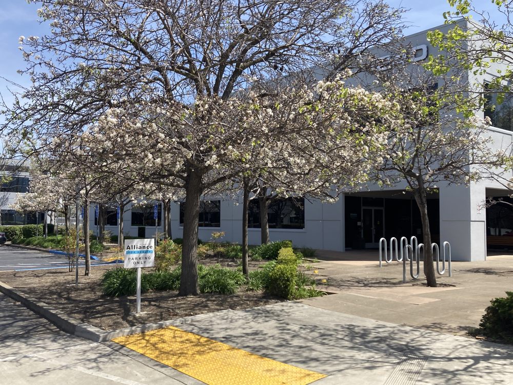 ALAMEDA ALLIANCE FOR HEALTH Updated August 2025 46 Reviews 1240 S