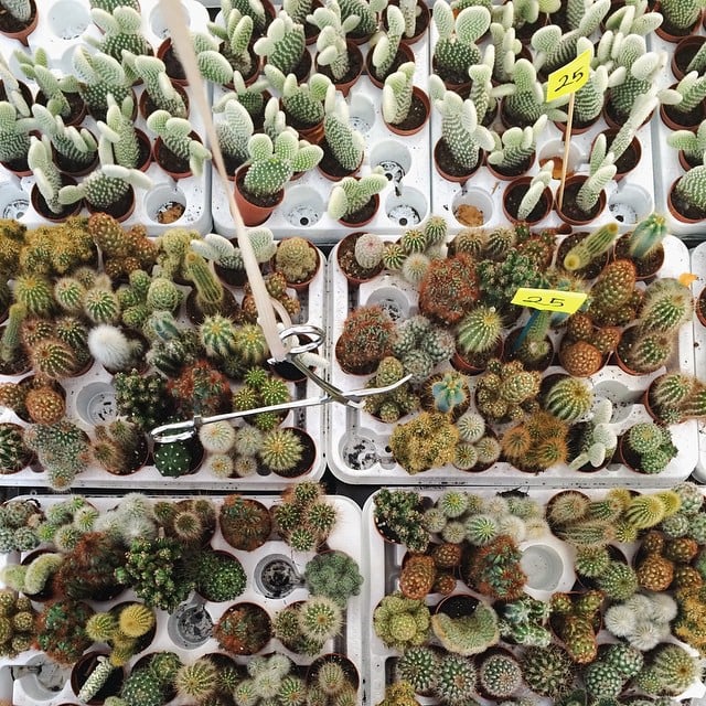 STORTORVET BLOMSTERMARKED Updated October 2024 34 Photos