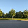 Photo of Dragonfly Park