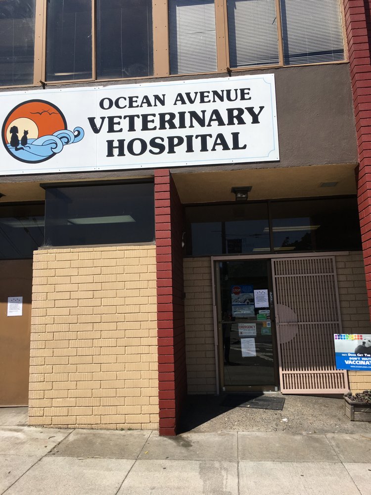 ocean ave pet hospital