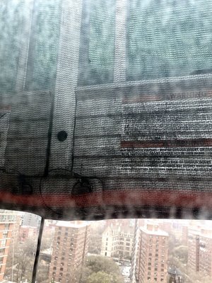 New York City Department of Buildings