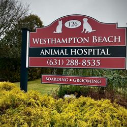 Westhampton Beach Animal Hospital - Westhampton Beach Animal Hospital located on 126 Montauk Hwy in Westhampton Beach, NY.