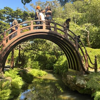 Japanese Tea Garden - Tea Rooms Near Me - San Francisco, California