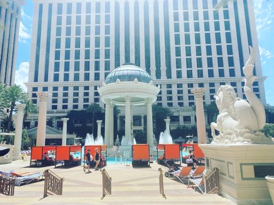 Venus Pool + Lounge by null