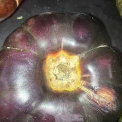 Safeway - An even more rotten tomato