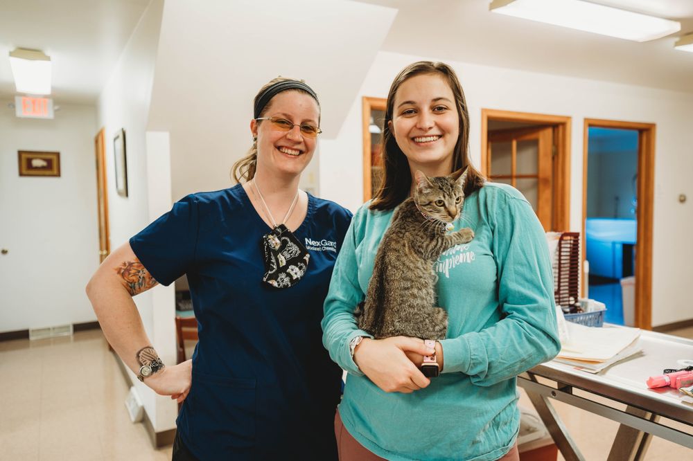 CHERRYVILLE ANIMAL HOSPITAL Updated August 2024 28 Photos 496