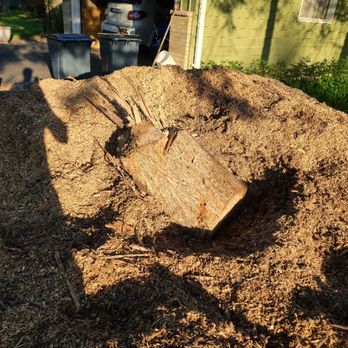 Hidden Valley Tree Service - Tree Services Near Me - Brookfield, Wisconsin