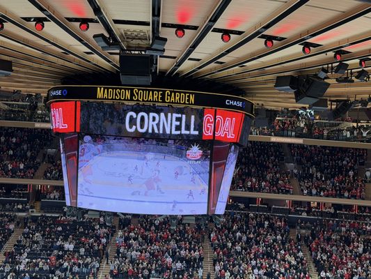 Madison Square Garden by null Madison Square Garden by null