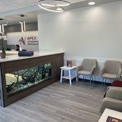 Clear Water Aquarium - Custom aquarium