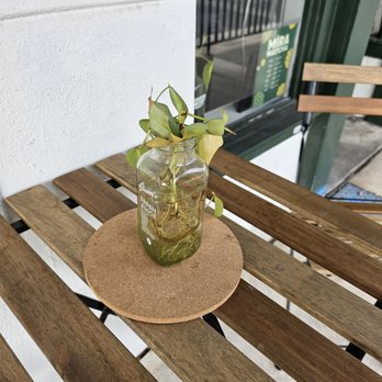 Míra Matcha - Coffee & Tea Near Me - San Antonio, Texas Míra Matcha - Coffee & Tea Near Me - San Antonio, Texas