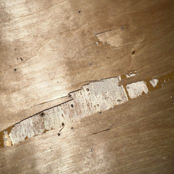 Shadowood Apartments - termite droppings in kitchen drawer THE DAY I MOVED IN - Apartments Near Me - Sarasota, Florida