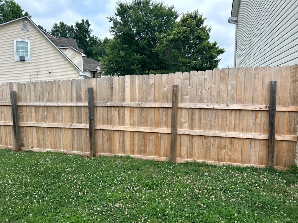 Slide of Helping Hands