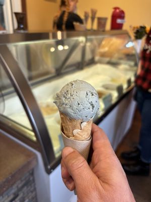Arcata Scoop by null
