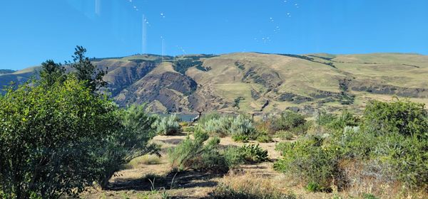 Columbia Gorge Discovery Center & Museum by null