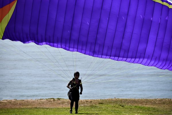 Torrey Pines Gliderport by null
