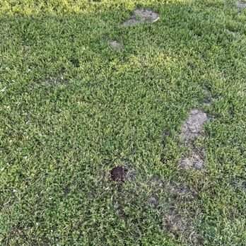 Shaded Haven RV Park - Dog poop - RV Parks Near Me - Bakersfield, California Shaded Haven RV Park - Dog poop - RV Parks Near Me - Bakersfield, California