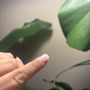Photo of 1 Epic Nails & Spa