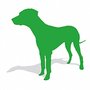 Photo of Green Doggy
