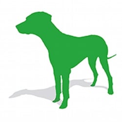 Green Doggy - Green Doggy