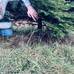 Black Lake Trees Christmas Tree