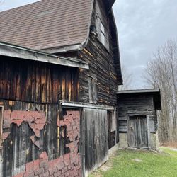 Franklin Mountain Hawkwatch