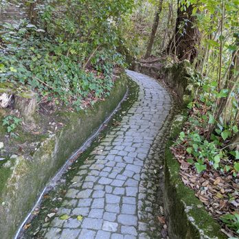 Quinta da Regaleira - One of the "shortcut" paths at the Quinta da Regaleira - Landmarks & Historical Buildings Near Me - Sintra, 11 Quinta da Regaleira - One of the "shortcut" paths at the Quinta da Regaleira - Landmarks & Historical Buildings Near Me - Sintra, 11