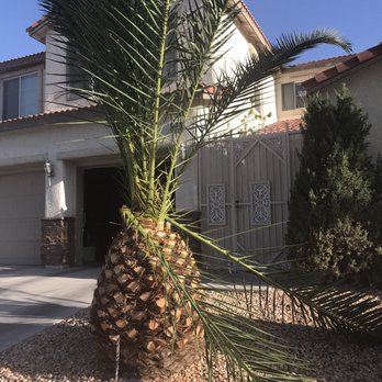 Unity Land Construction - Same day he left - Landscaping Near Me - North Las Vegas, Nevada Unity Land Construction - Same day he left - Landscaping Near Me - North Las Vegas, Nevada